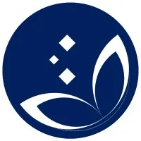 Tincorp International