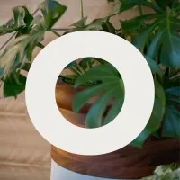 objekts