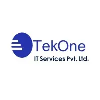 TekOne IT Services Pvt. Ltd.