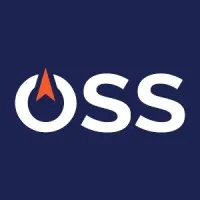 Original Survey Solutions