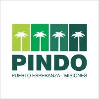 PINDO S.A.