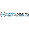 Pegasus Aerospace Pegasus Aerospace