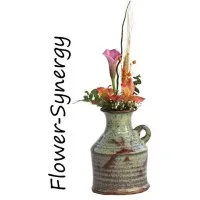 Flower-Synergy