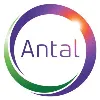 Antal International