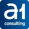 A1 CONSULTING A1 CONSULTING