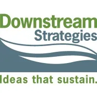 Downstream Strategies Downstream Strategies