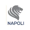 Napoli Consultoria Empresarial