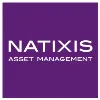 Natixis Asset Management Natixis Asset Management