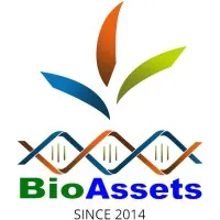 BioAssets Corporation