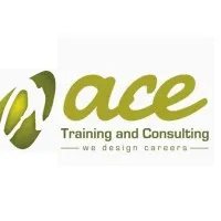 ACE Training and Consulting