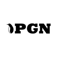 PGN Bearings