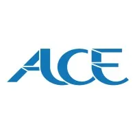 ACE Sign Group