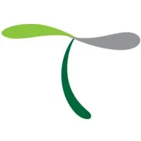 T Creative T Creative