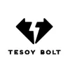 Tesoy Bolt India Pvt Ltd Tesoy Bolt India Pvt Ltd