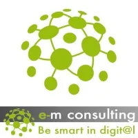 e-m consulting