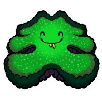 Anemone Hug Interactive, Inc.