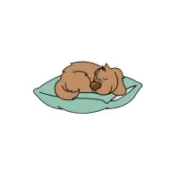 DoggieDreams