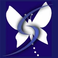 Naturopathic Doctor