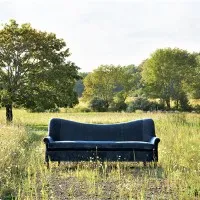 The Clinical Psychedelic Lab at Monash University