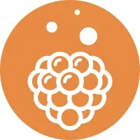 MindBerry - Mental Wellbeing