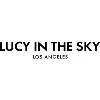 LUCY IN THE SKY INC