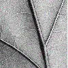 Chemica Technologies, Inc. Chemica Technologies, Inc.