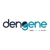 Dengene Technology Solutions Dengene Technology Solutions