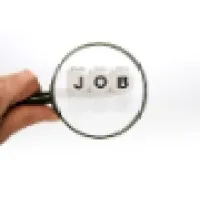 Job Seeker