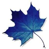 SAGA International Owners Association Management Services LLC