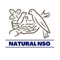 Natural NSO