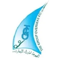 The Group Overseas LLC