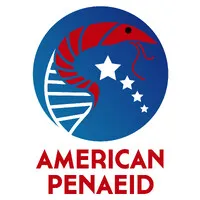 American Penaeid
