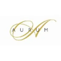 Aurum Holdings Aurum Holdings