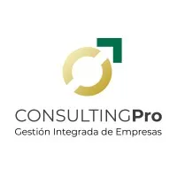 Consulting Pro