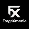 FORGEX MEDIA FORGEX MEDIA
