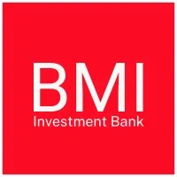 BMI Capital International LLC
