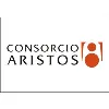 CONSORCIO ARISTOS, S.A.B. DE C.V.