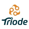 Triode Group Limited Triode Group Limited