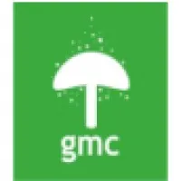 Green Mushroom Creative