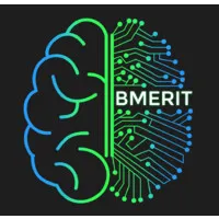 Biomedical Engineering Research and Innovation Team (BMERIT) UCalgary Biomedical Engineering Research and Innovation Team (BMERIT) UCalgary