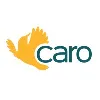 Caro— Smart Financial Solutions Caro— Smart Financial Solutions