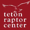 Teton Raptor Center Teton Raptor Center