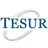 Tesur SA - Organización TECHINT Tesur SA - Organización TECHINT