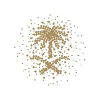 General Court of Audit - الديوان العام للمحاسبة