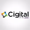 Cigital, Inc (A Part of Synopsys) Cigital, Inc (A Part of Synopsys)