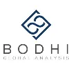Bodhi Global Analysis Bodhi Global Analysis