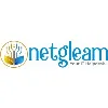 Netgleam Consulting Pvt Ltd Netgleam Consulting Pvt Ltd