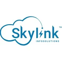 Skylink Infosolutions™