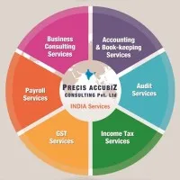 PRECIS ACCUBIZ PRIVATE LIMITED