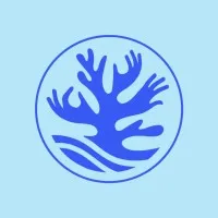 Corales de Paz - Buceo con Propósito Corales de Paz - Buceo con Propósito